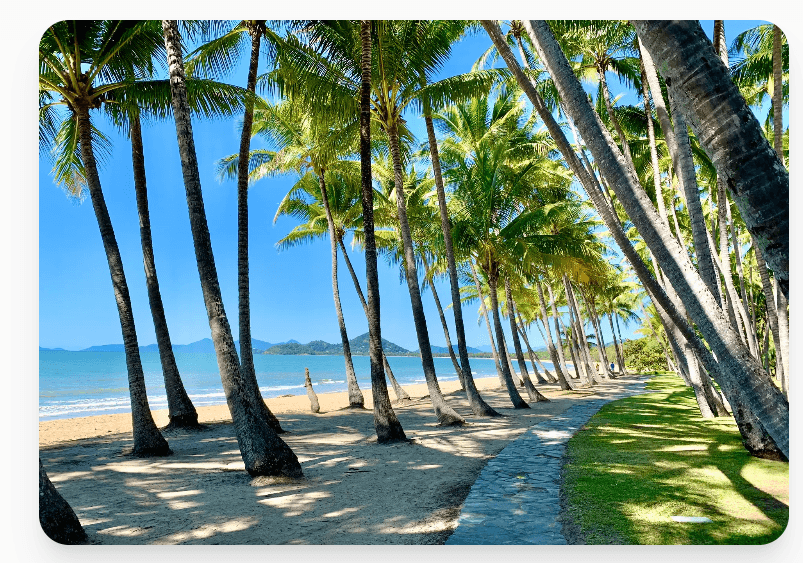 Transfer from Cairns City  to Palm Cove