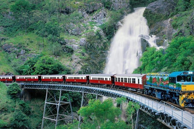 Transfer from Cairns City  to Kuranda