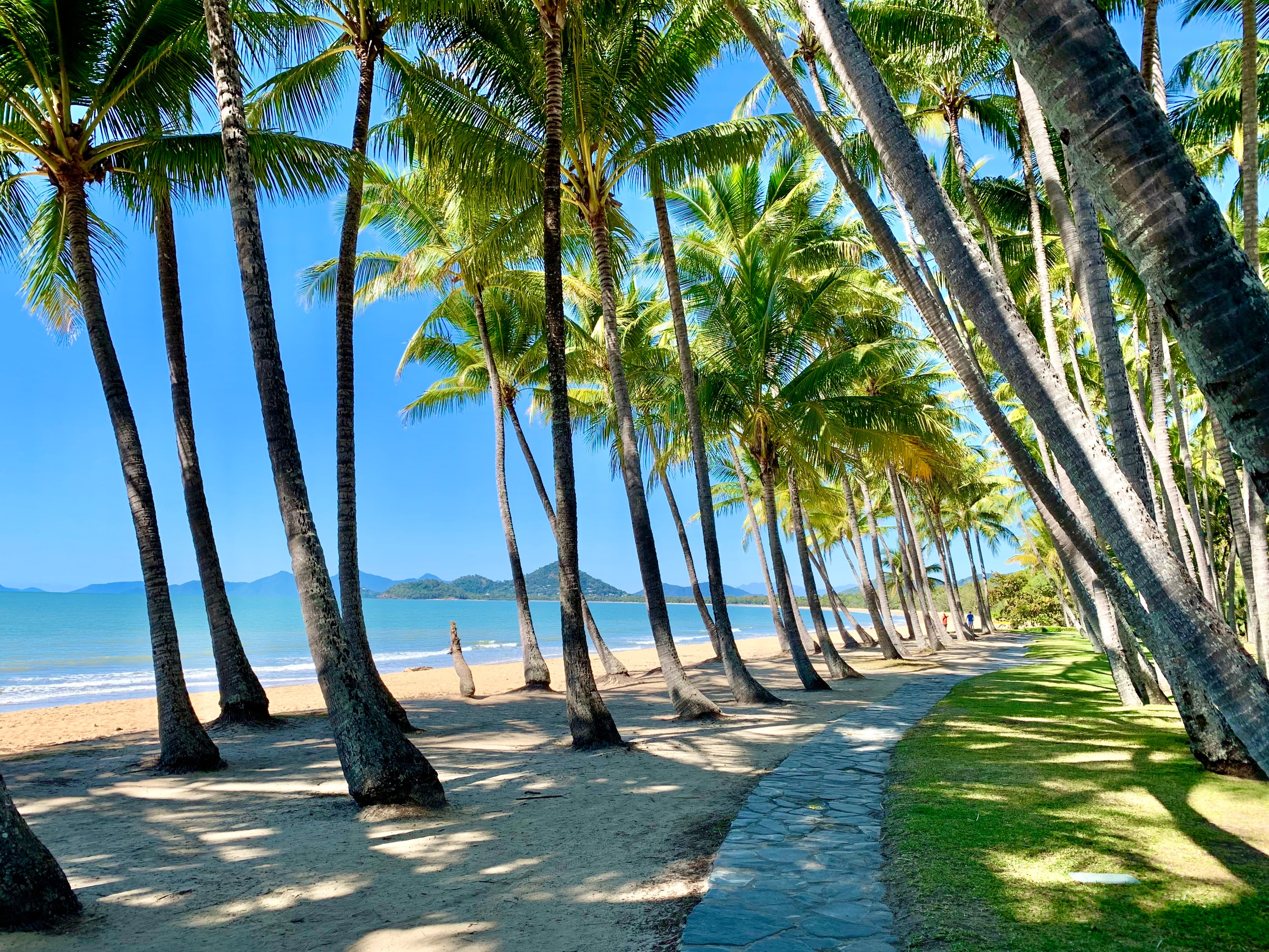 Transfer from Cairns City to Palm Cove